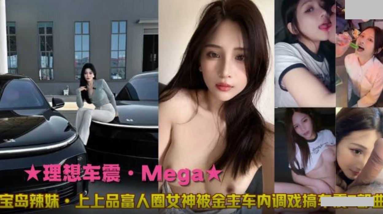 理想车震 Mega 宝岛辣妹 上上品富人圈女神被金主车内调戏搞车震